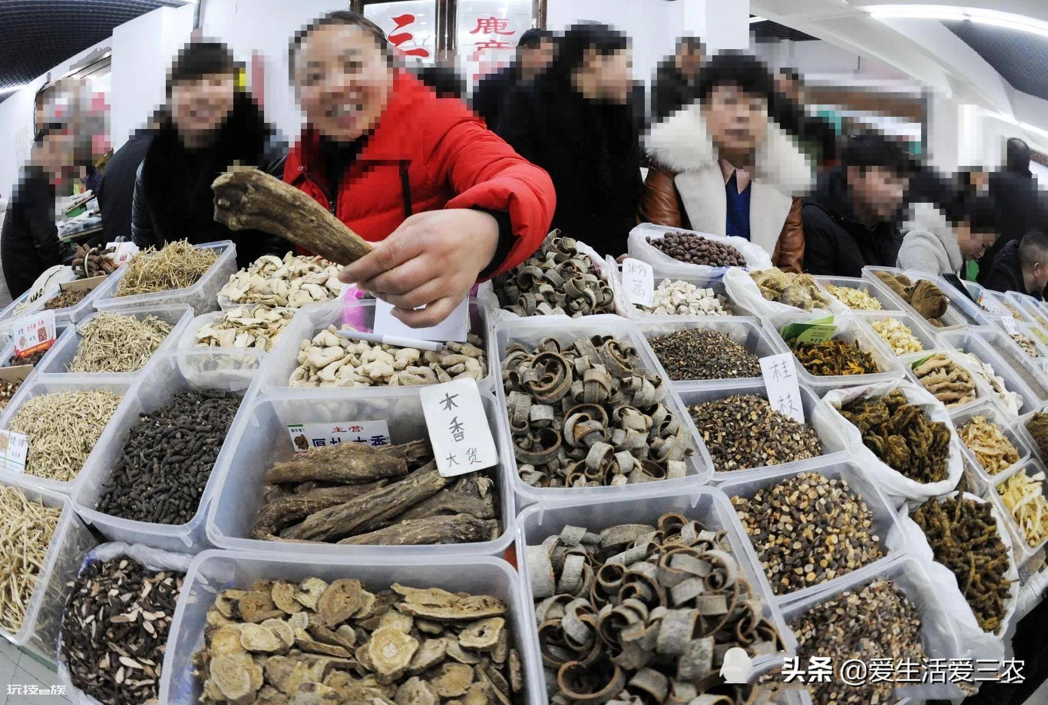 亩效益过万的一年生药材(农村种植什么药材项目更赚钱)-图片10